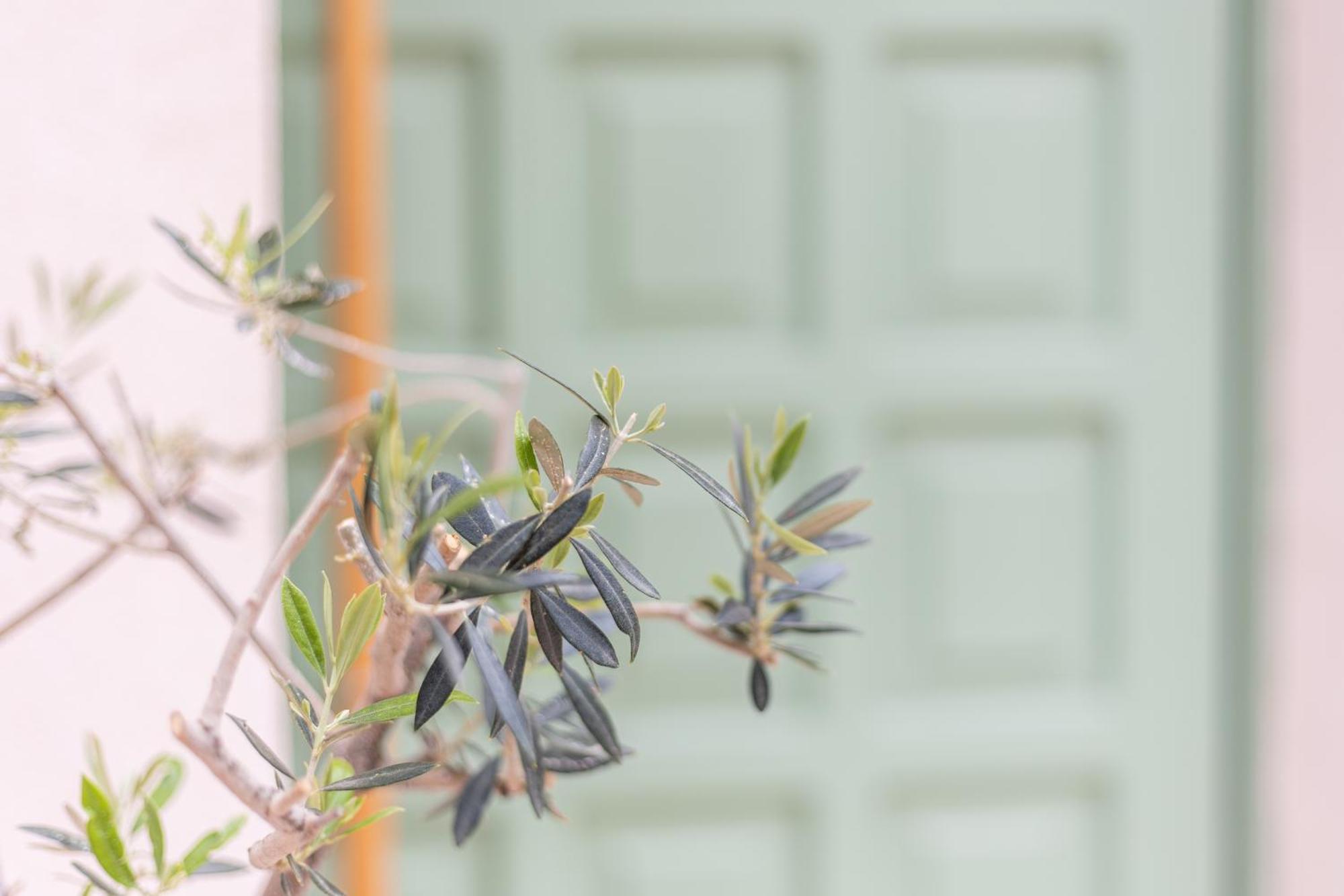 חאניה Erofili Traditional House מראה חיצוני תמונה